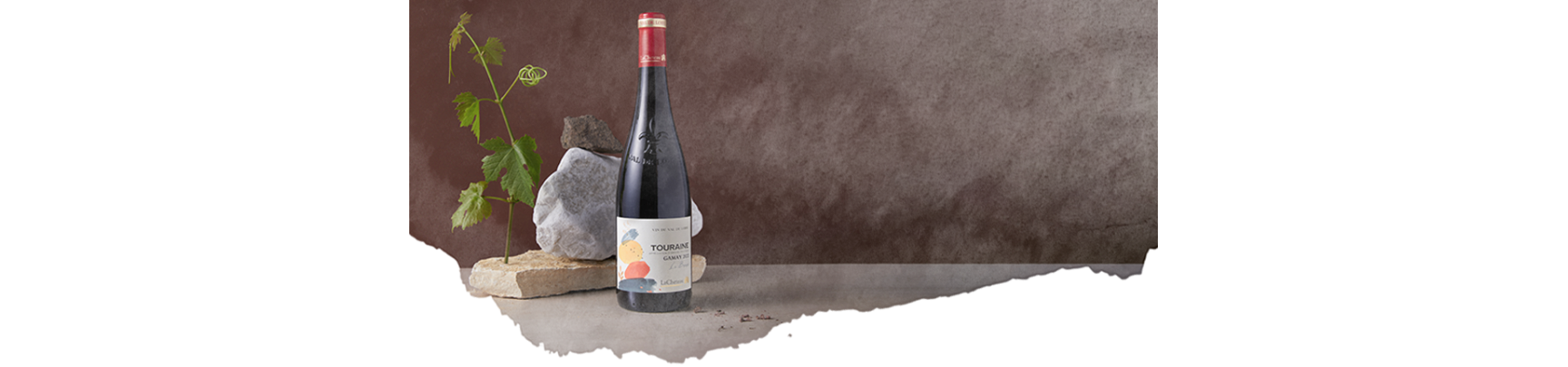 Les Vins Rouges du Val de Loire | Maison LaCheteau