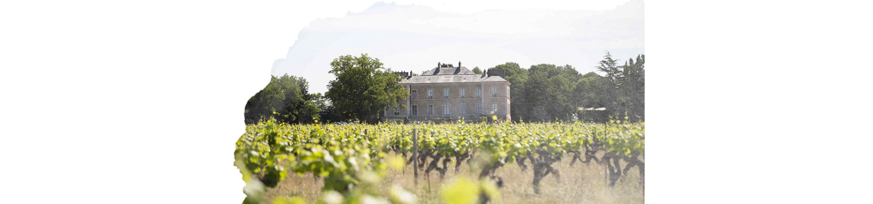 Muscadets et Vins du Pays Nantais | Château du Cléray